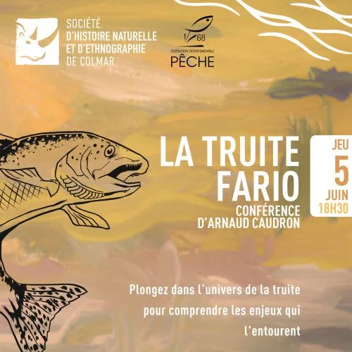 truite