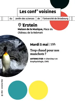conf voisines 5 mai 2026